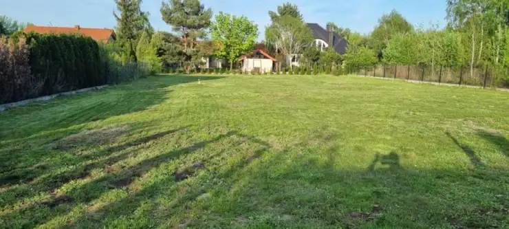 łoś ,  Bażancia   7