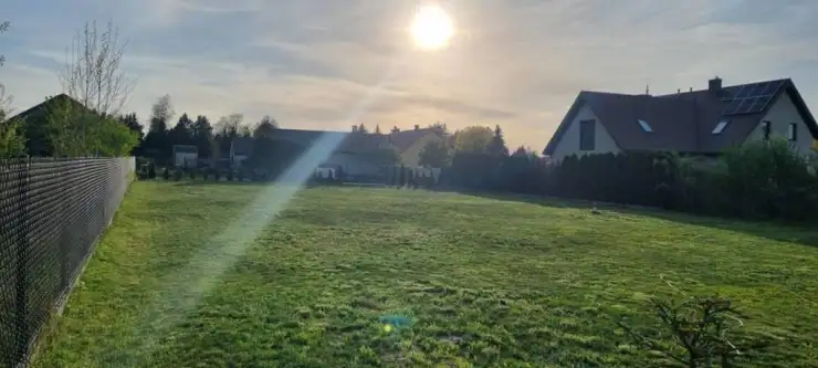 łoś ,  Bażancia   8