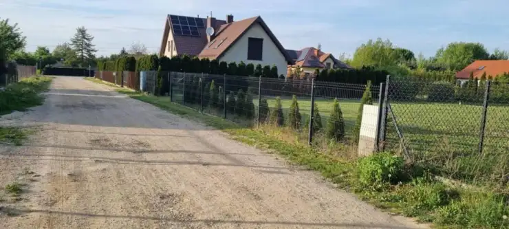 łoś ,  Bażancia   9