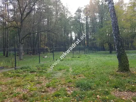 Budy mszczonowskie   2