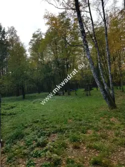 Budy mszczonowskie   3