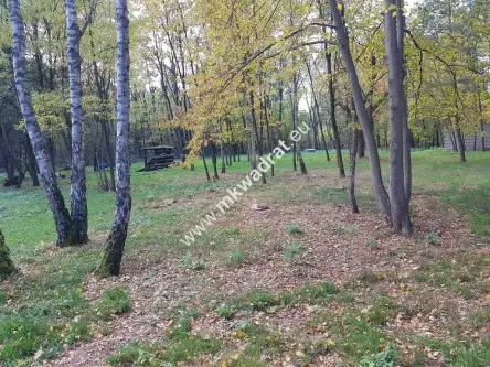 Budy mszczonowskie   5