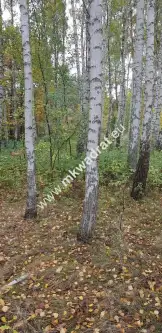 Siestrzeń ,  www.mkwadrat.eu   2