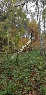 Siestrzeń ,  www.mkwadrat.eu   3