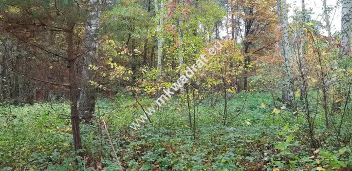 Siestrzeń ,  www.mkwadrat.eu   4