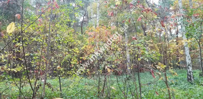 Siestrzeń ,  www.mkwadrat.eu   5