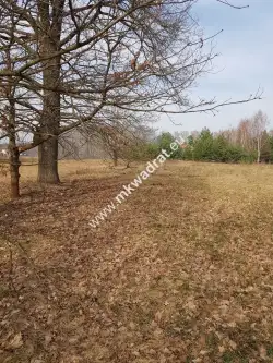  Makówka   www.mkwadrat.eu 