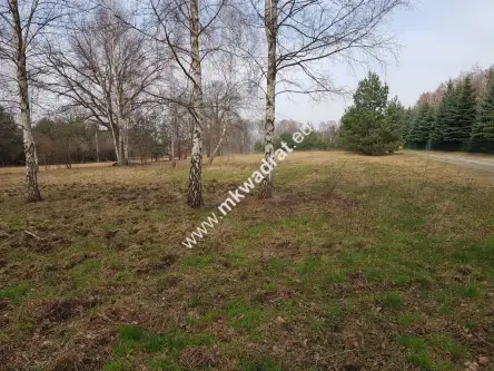 Makówka ,  www.mkwadrat.eu   3