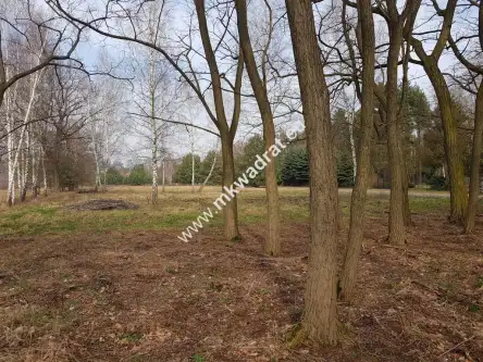 Makówka ,  www.mkwadrat.eu   4