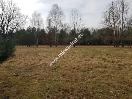 Makówka ,  www.mkwadrat.eu   5