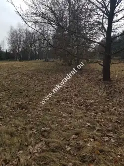 Makówka ,  www.mkwadrat.eu   6