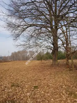 Makówka ,  www.mkwadrat.eu   7