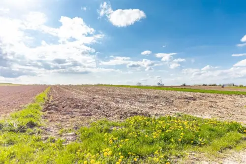 Wojciechów-kolonia pierwsza   7