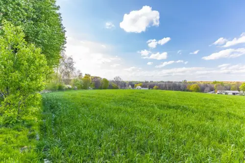 Wojciechów-kolonia pierwsza   4