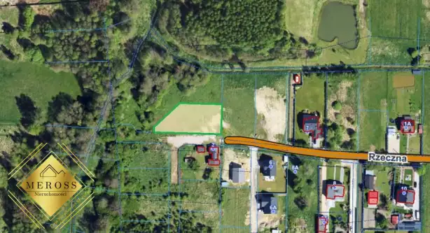 Brzeziny-kolonia   6