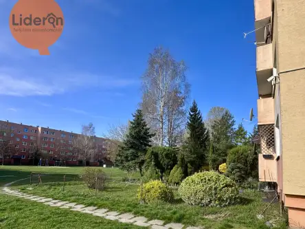 Łódź ,  Falista   9