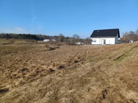 Kamela ,  Wiktorii   4