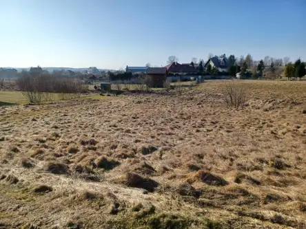 Kamela ,  Wiktorii   5