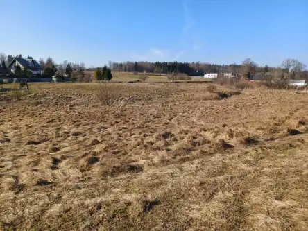 Kamela ,  Wiktorii   7