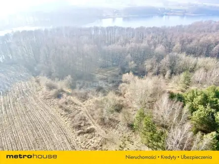 Nowy dwór bratiański   15