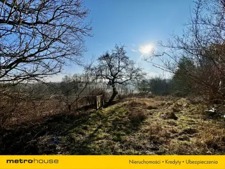 Nowy dwór bratiański   8