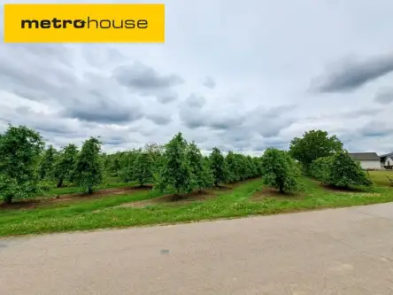  Skotniki   Rzemieślnicza 