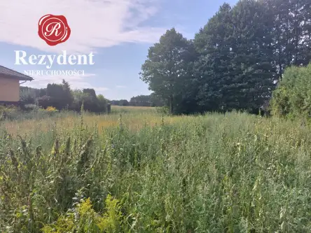 Ciele ,  Myśliwska   3