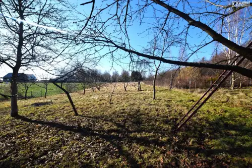  Jakubowice końińskie-kolonia  