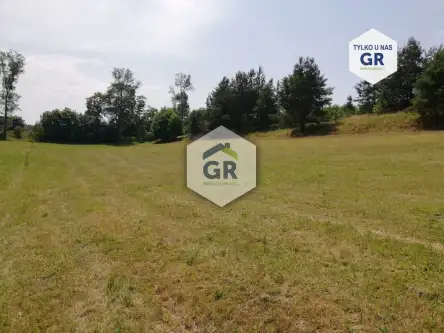 Dziemiany ,  Spacerowa   3