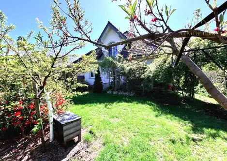 Kielno ,  Słonecznikowa   4