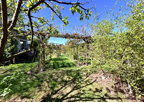 Kielno ,  Słonecznikowa   5