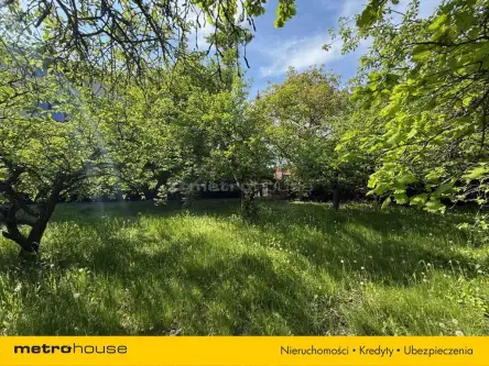 Warszawa ,  Jagielska   5