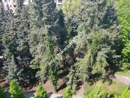 Pruszków ,  Komorowska   7