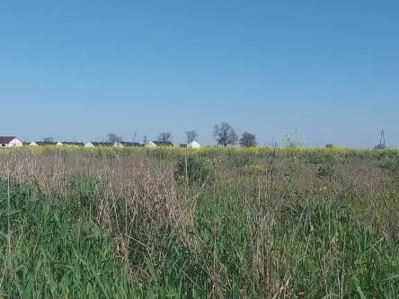 Gwiazdowo ,  Półwiejska   10