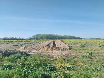 Gwiazdowo ,  Półwiejska   11