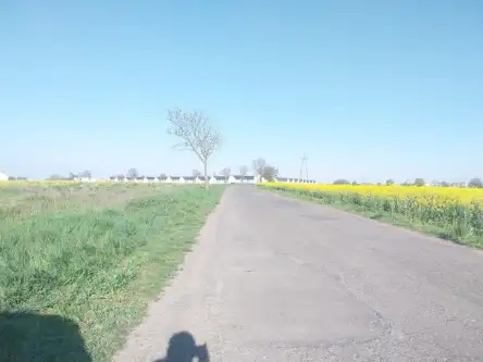 Gwiazdowo ,  Półwiejska   13