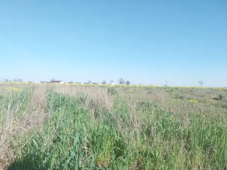  Gwiazdowo   Półwiejska 