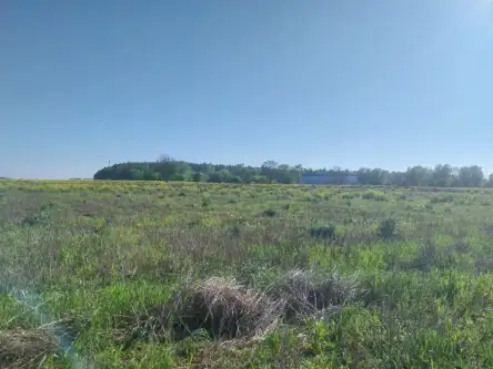 Gwiazdowo ,  Półwiejska   5