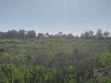 Gwiazdowo ,  Półwiejska   6