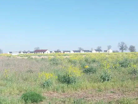 Gwiazdowo ,  Półwiejska   7