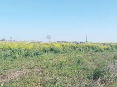 Gwiazdowo ,  Półwiejska   8