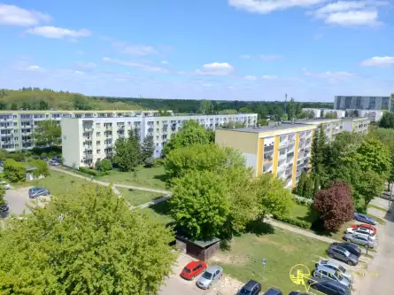 Łódź ,  Armii Krajowej   4