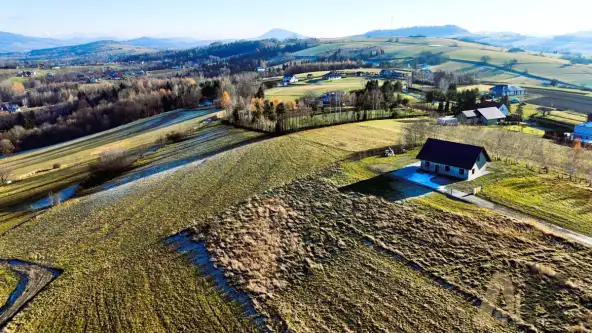 Krużlowa wyżna   12