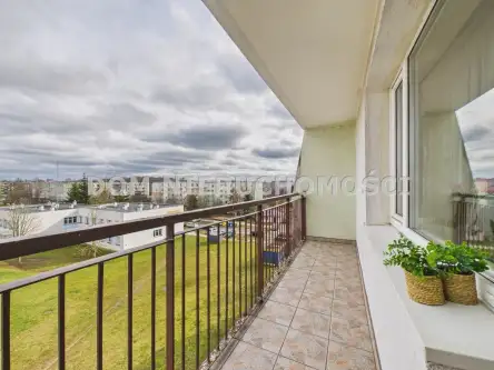 Olsztyn ,  Panasa   3