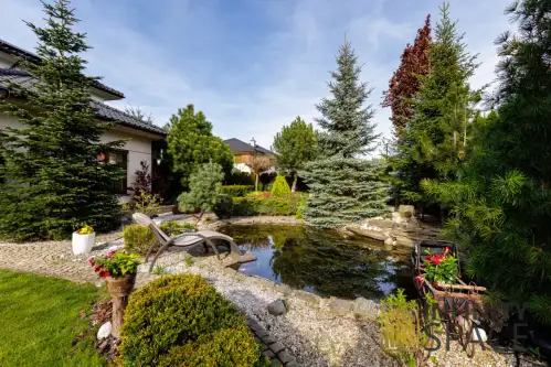 Warszawa ,  Rosy   3