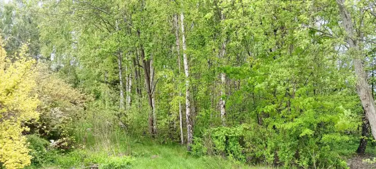 łebno ,  Energetyków   10