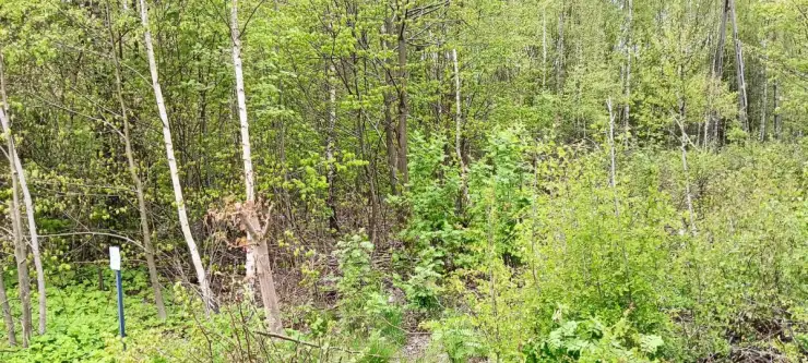 łebno ,  Energetyków   12