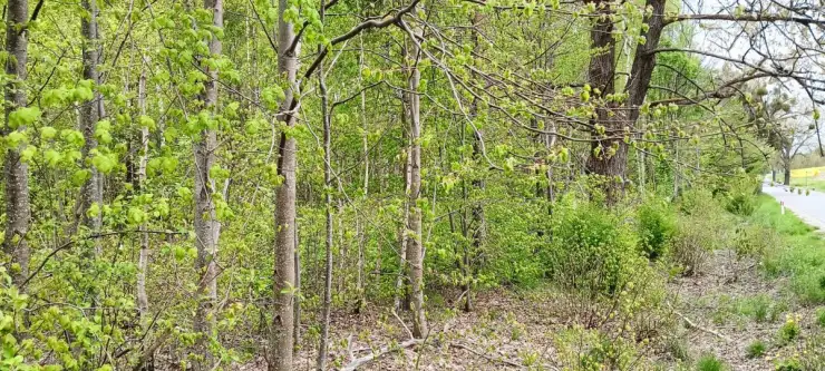 łebno ,  Energetyków   13