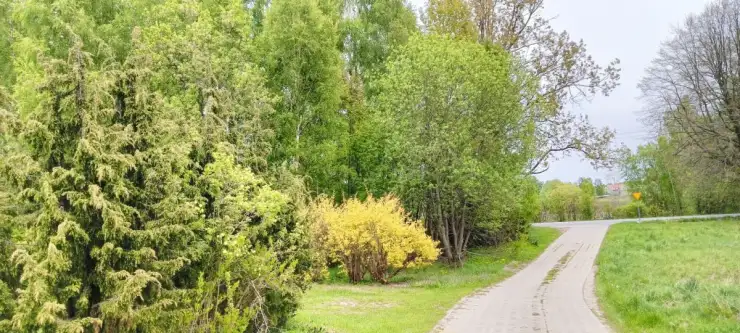 łebno ,  Energetyków   9