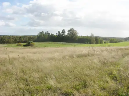 Szemudzka huta ,  Przejazdowa   11